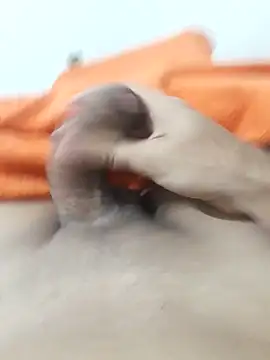 lm279 online show from February 3, 3:39 pm