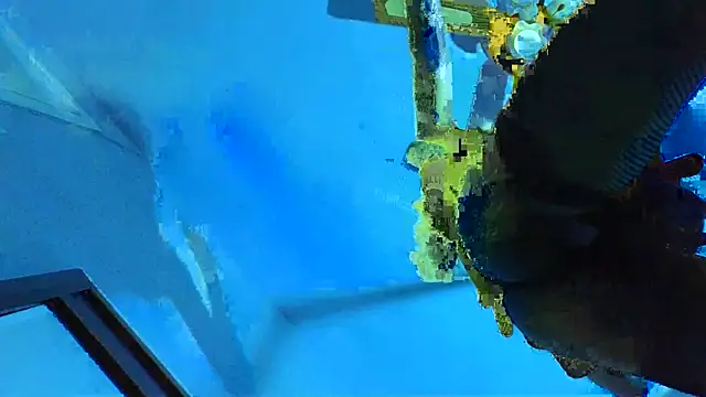 Sandrasaa online show from November 6, 1:47 pm