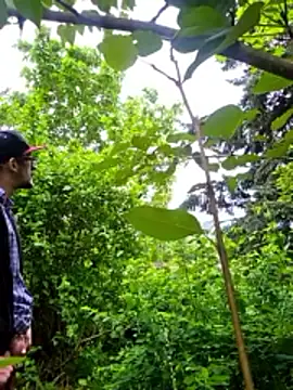 DixinButts69 online show from May 17, 12:19 am