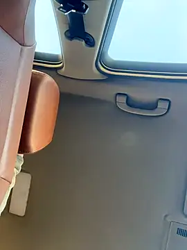 4n4l1zz4m1 online show from November 29, 2:30 pm