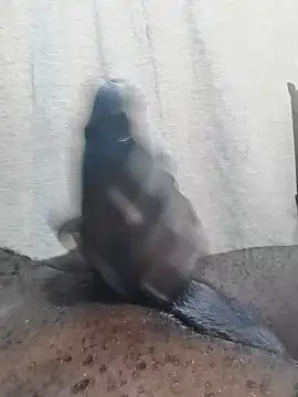 Dick undisputed online show from February 23, 12:11 pm