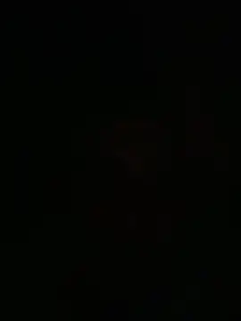 eddy355 online show from November 10, 9:20 pm