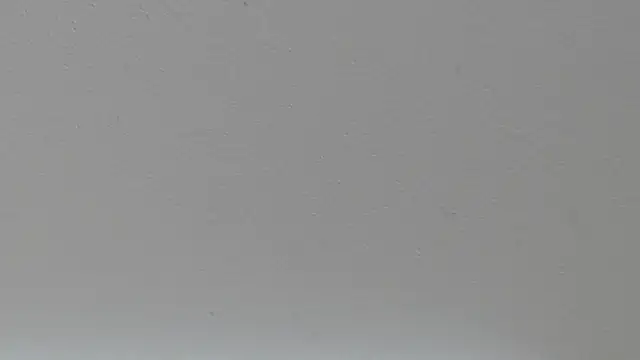 pathogen1 online show from January 15, 9:35 am