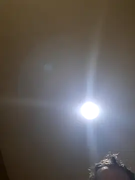 Colorao4 online show from November 14, 1:34 pm