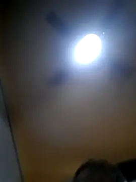 Colorao4 online show from October 10, 12:43 pm