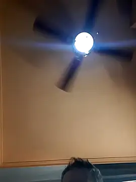 Colorao4 online show from November 8, 2:42 pm