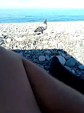 Lovely milk online show from November 4, 8:26 am