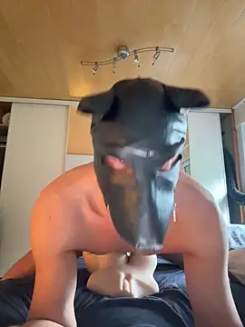 PlayDog123 online show from October 16, 2:25 pm