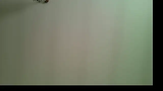 panigalenew online show from October 25, 12:29 pm