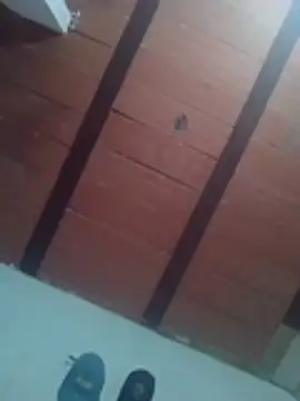 macg96 online show from February 27, 6:25 am