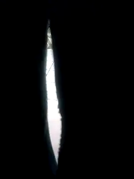 fercxxxho25 online show from October 6, 11:42 pm