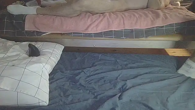 arrow13680 online show from September 14, 3:08 am