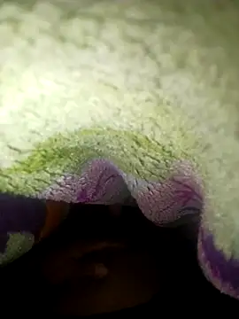 beliqi online show from November 24, 11:44 am