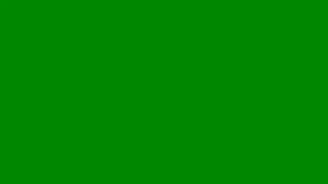 shavedguy55 online show from June 7, 11:33 pm