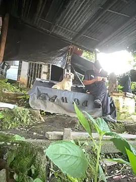 Jestebanano online show from March 16, 12:20 pm