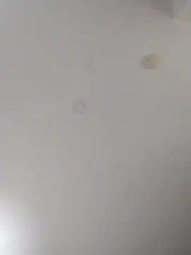 geilerschwanz64 online show from October 16, 10:29 pm