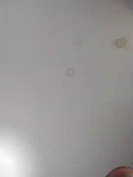 geilerschwanz64 online show from October 10, 6:07 am