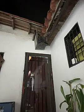 Leo bunny hot online show from January 10, 2:28 am