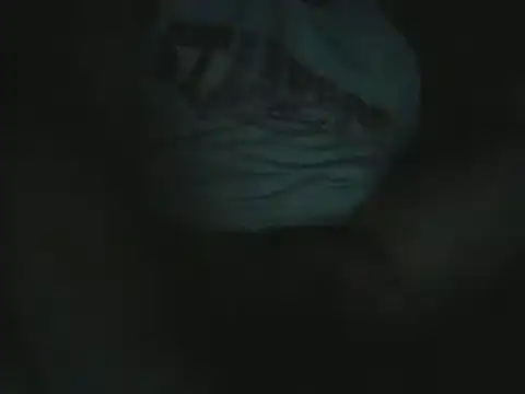 Snapshot of sbrodo96 chatting on December 5, 8:56 pm sbrodo96 online show from December 5, 8:56 pm