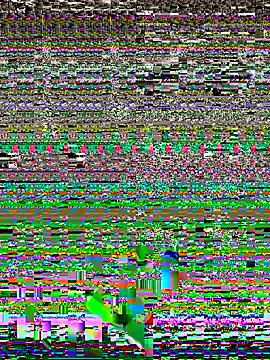 Fenix1002 online show from November 1, 3:10 am