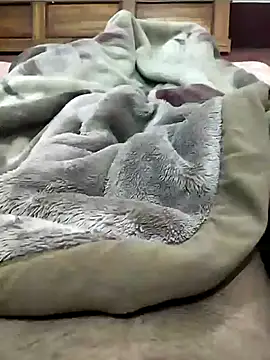 ravi707984 online show from January 9, 5:51 pm