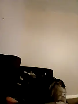 willywonka7793 online show from December 16, 5:33 pm