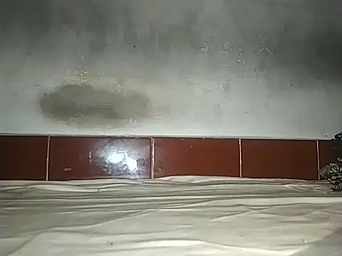 alansteer online show from October 21, 8:17 am