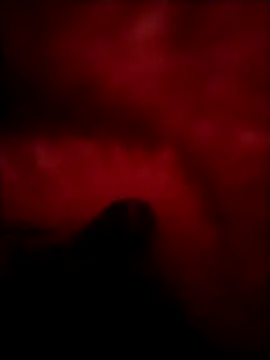 Snapshot of PracticalGum40 chatting on December 24, 1:38 am PracticalGum40 online show from December 24, 1:38 am