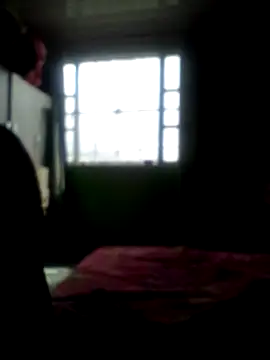 speed 2020 online show from February 22, 9:56 am