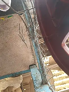 Skinny Bigass 23 online show from February 26, 6:48 am