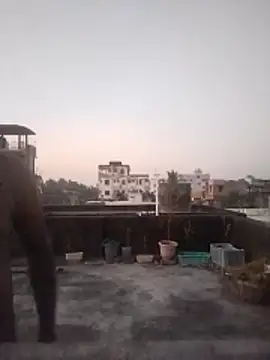 Jeetshine 1234 online show from November 19, 11:59 pm