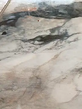 imissyoumylove14 online show from February 22, 10:38 am