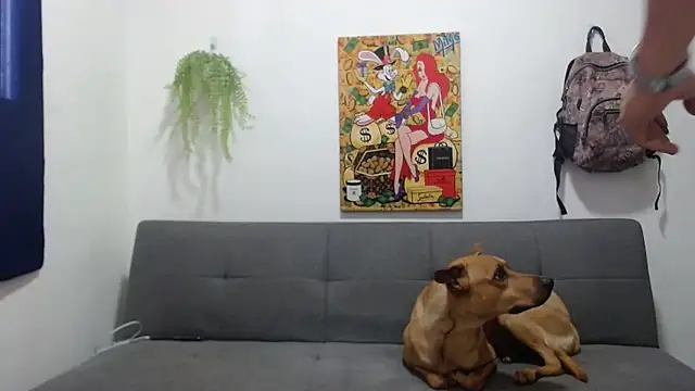 boss of cash online show from March 19, 5:05 pm