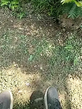 chootkapyasa007 online show from October 13, 7:25 am