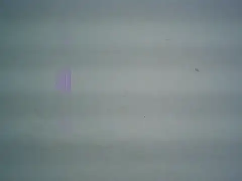 michel1520 online show from April 11, 11:30 pm