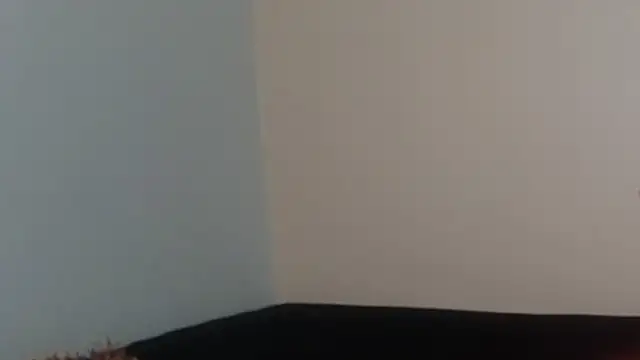 Snapshot of hairyncuteass chatting on February 13, 8:24 pm hairyncuteass online show from February 13, 8:24 pm