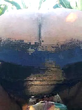 Snapshot of Siku786 chatting on March 18, 12:17 pm Siku786 online show from March 18, 12:17 pm