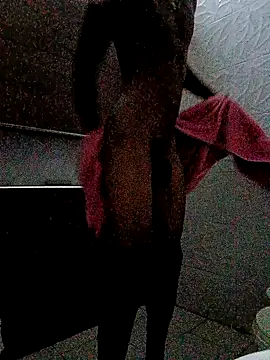 SlykaandpettterX online show from February 5, 11:17 pm