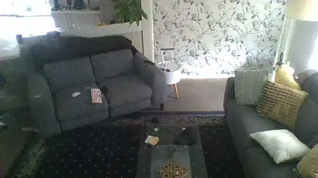 TAIZWRLD online show from November 18, 3:10 am