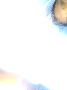 Singleboylucknow online show from February 4, 6:47 pm