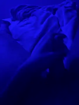 bigbola304 online show from November 13, 5:23 am