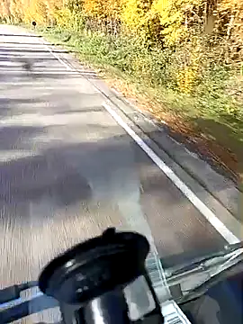 Dam70 online show from November 3, 12:41 pm