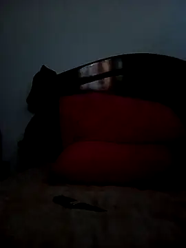 jhon 1988 24 online show from October 19, 8:12 pm