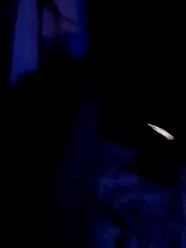 My police12 online show from February 9, 4:18 pm