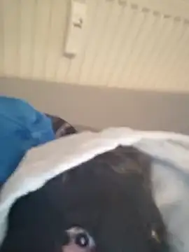 Bigdicklove42x online show from February 6, 6:32 am