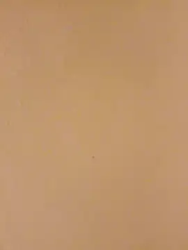 Bigdicklove42x online show from January 15, 4:49 am