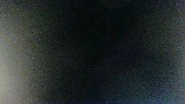 Gooss cum online show from January 16, 3:31 am