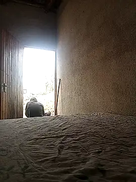 lilpip online show from November 6, 5:21 am