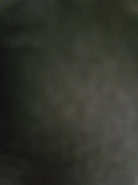 hmlu online show from February 26, 2:59 am