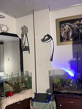 CRAZY-BOY99 online show from January 14, 7:46 am